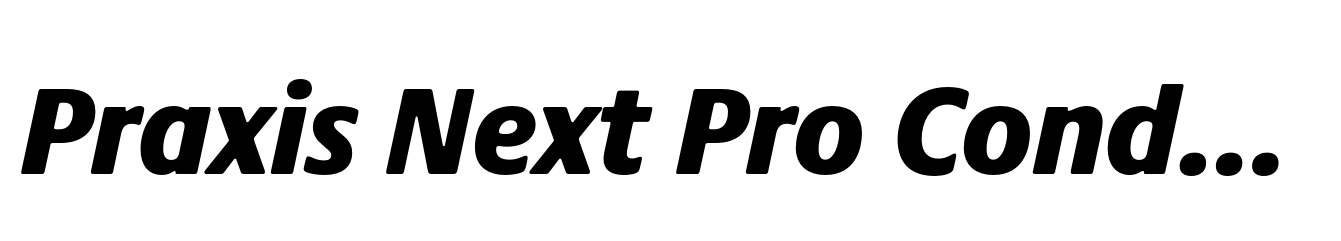 Praxis Next Pro Condensed Black Italic
